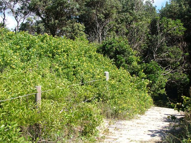 crowdy-national-park 031.JPG